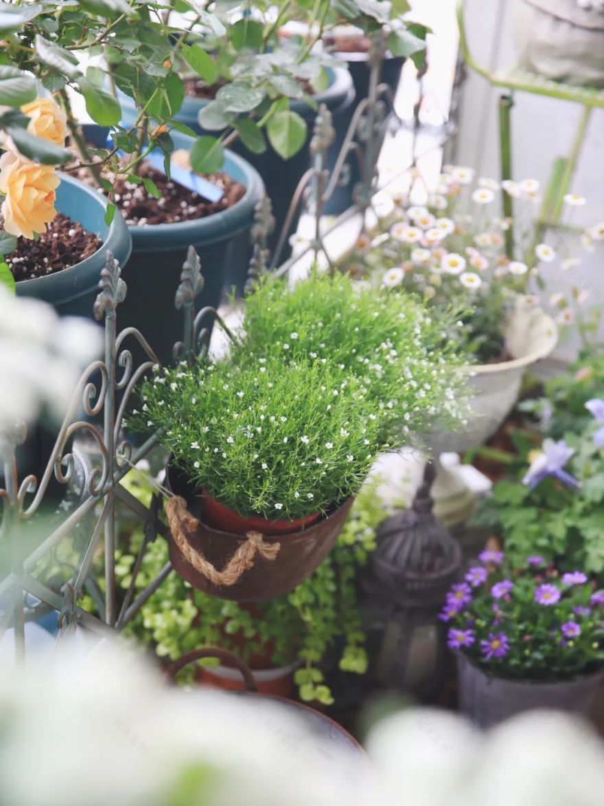 5㎡小阳台,打造治愈系小花园-85