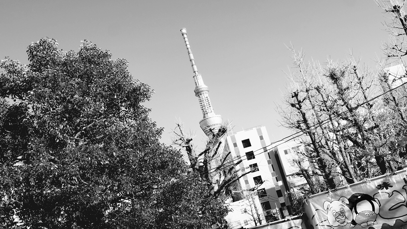 Japan  tokyo Asakusa kaminarimon travel-4