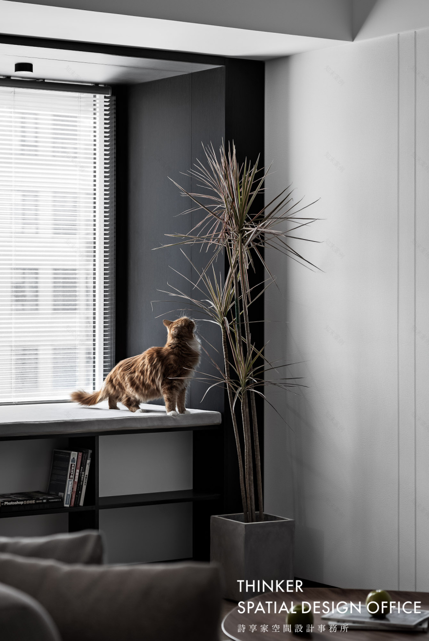 慕白|115㎡的一居室,两人一猫的小美好-47