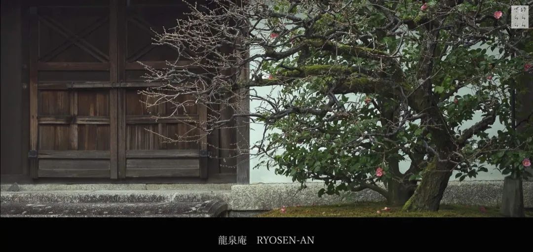 京都禅意庭院，演绎日本自然之美-73