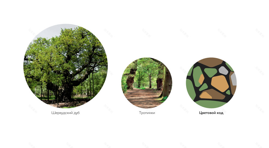 ЖК Шервуд小区环境整治丨俄罗斯巴尔瑙尔丨未明确体现-2