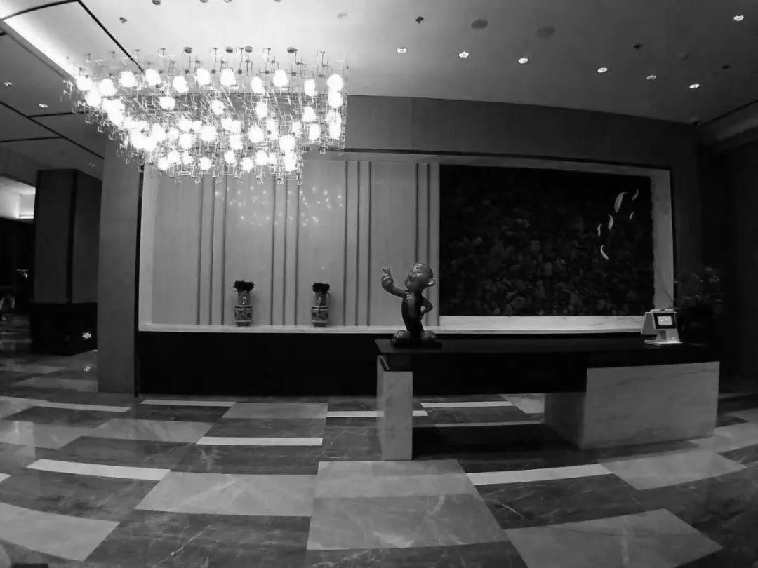 浙江舟山香格里拉酒店照明项目-17