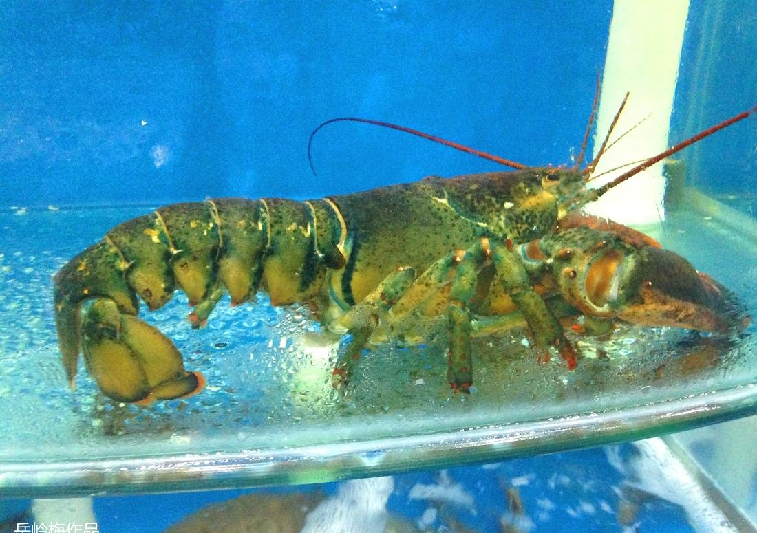 "八鲜过海"复古风室内设计,打造美食与回忆的温馨空间-77