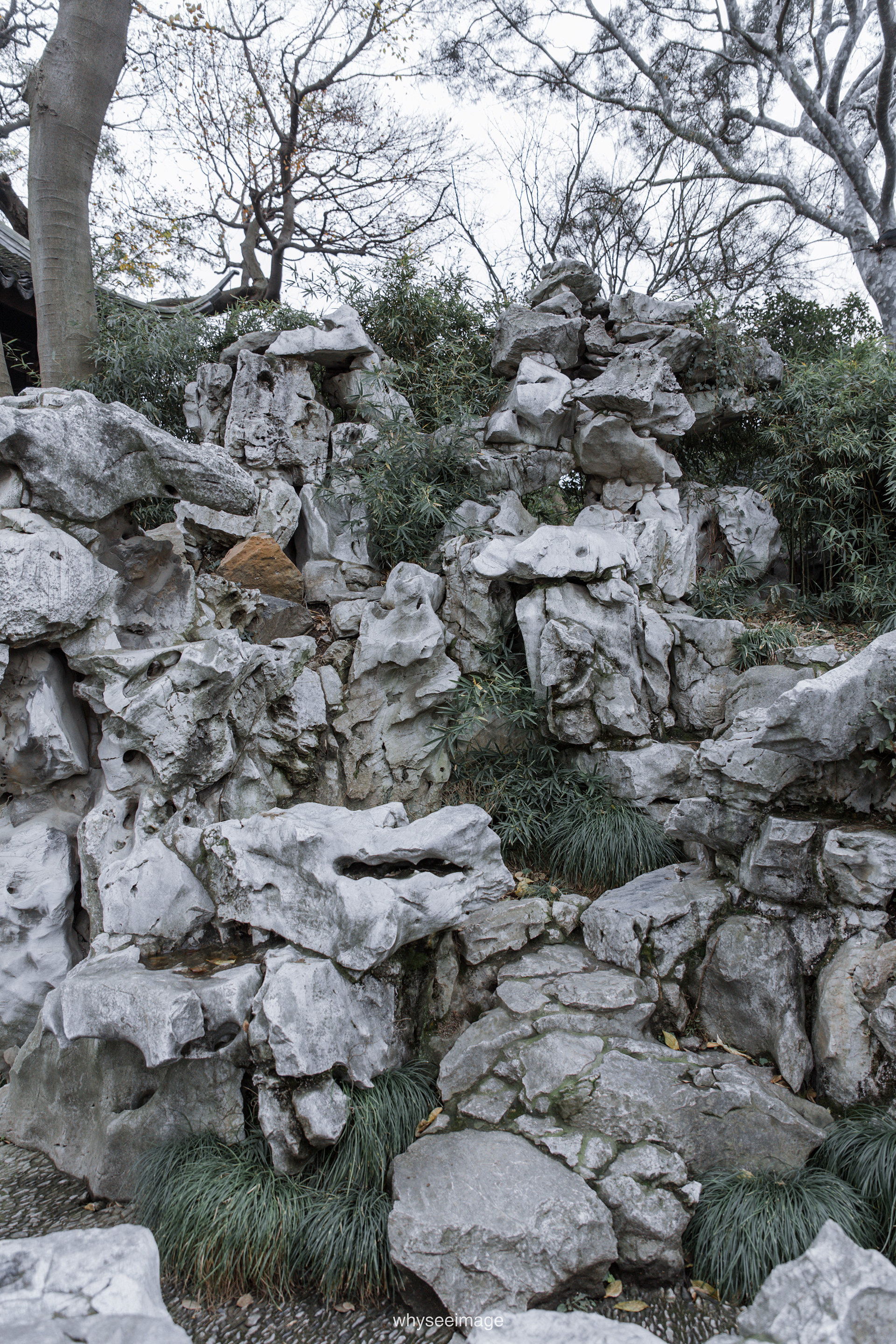 艺圃 Garden of Cultivation丨中国苏州丨whyseeimage-81