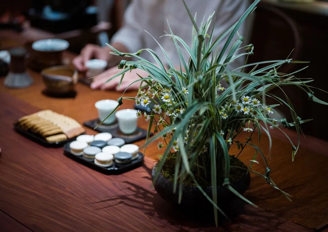 半木之家“伴夏集” | 唐七小姐的花植艺术装置-75