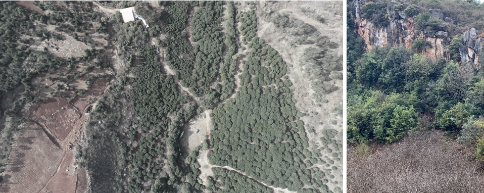 自然共生,心灵栖息的汉华天马山温泉酒店-23