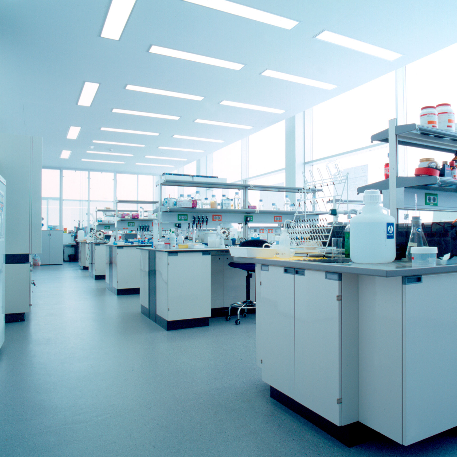 Research Center Príncipe Felipe Ramón Esteve-8