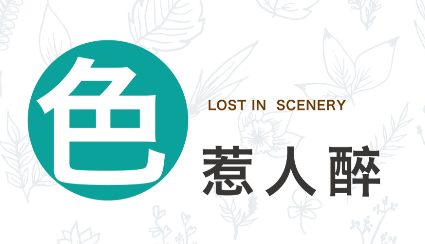 恒大重庆湖景园林丨中国重庆丨恒大集团重庆公司-33