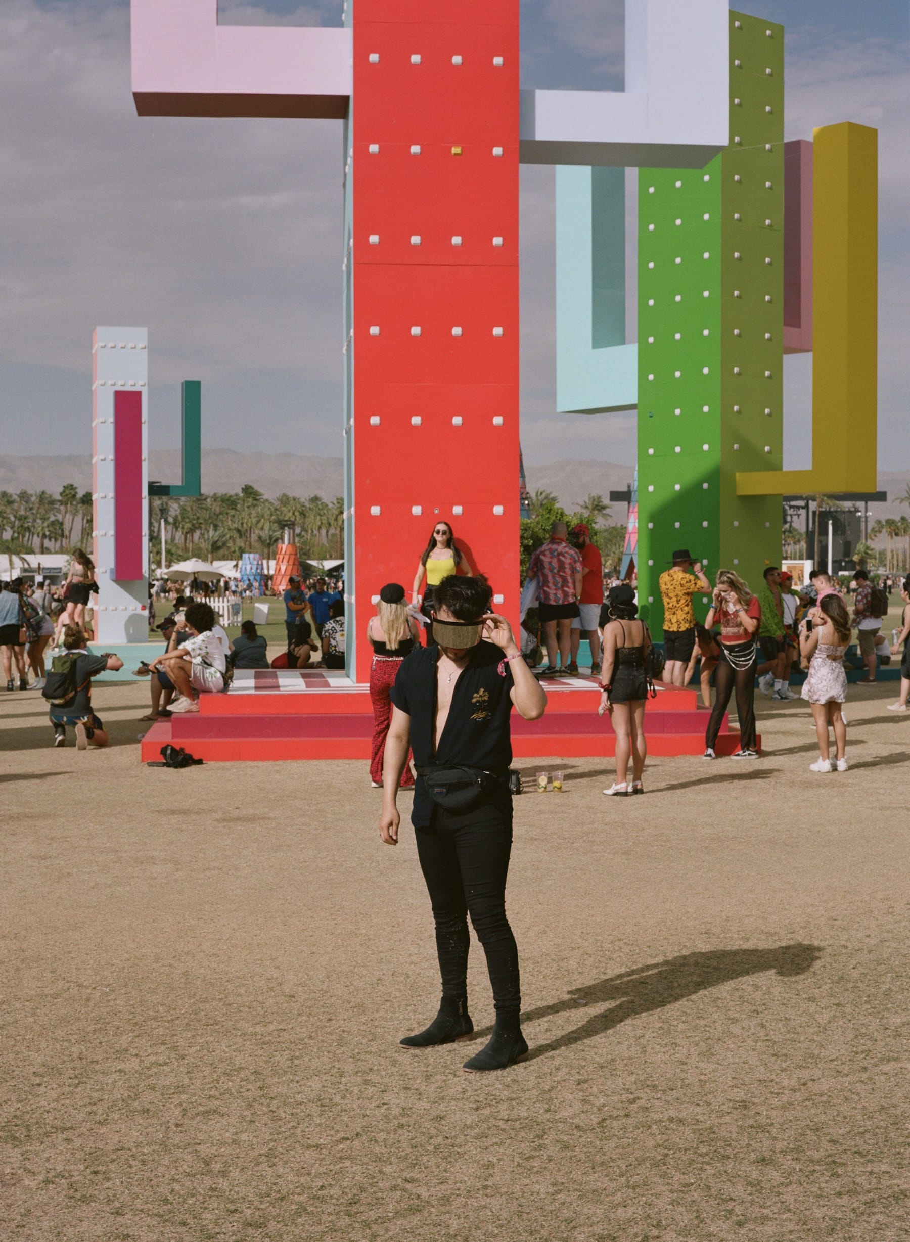 巨大仙人掌,科瓦奇办公室-24