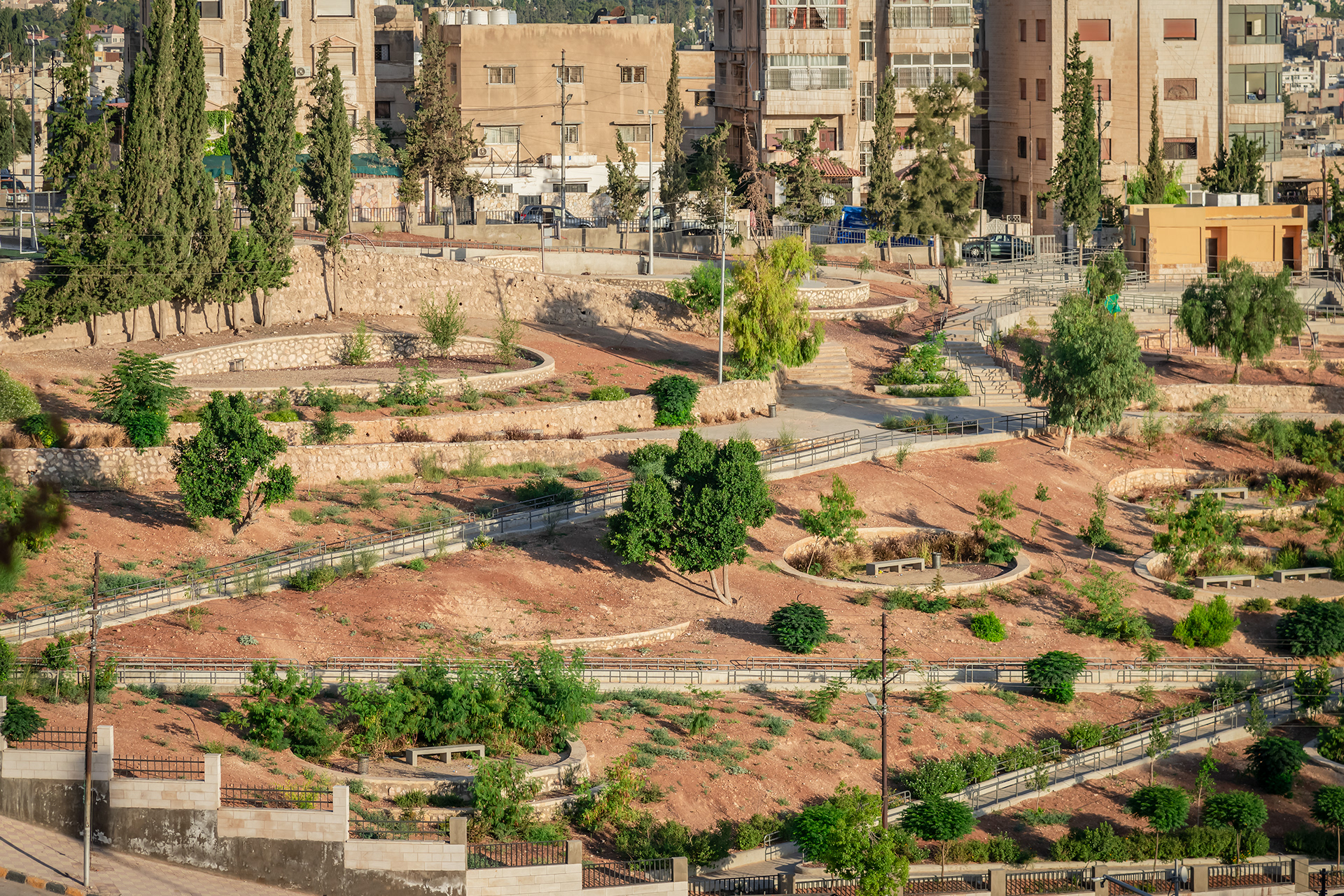 库达公园丨约旦安曼-21