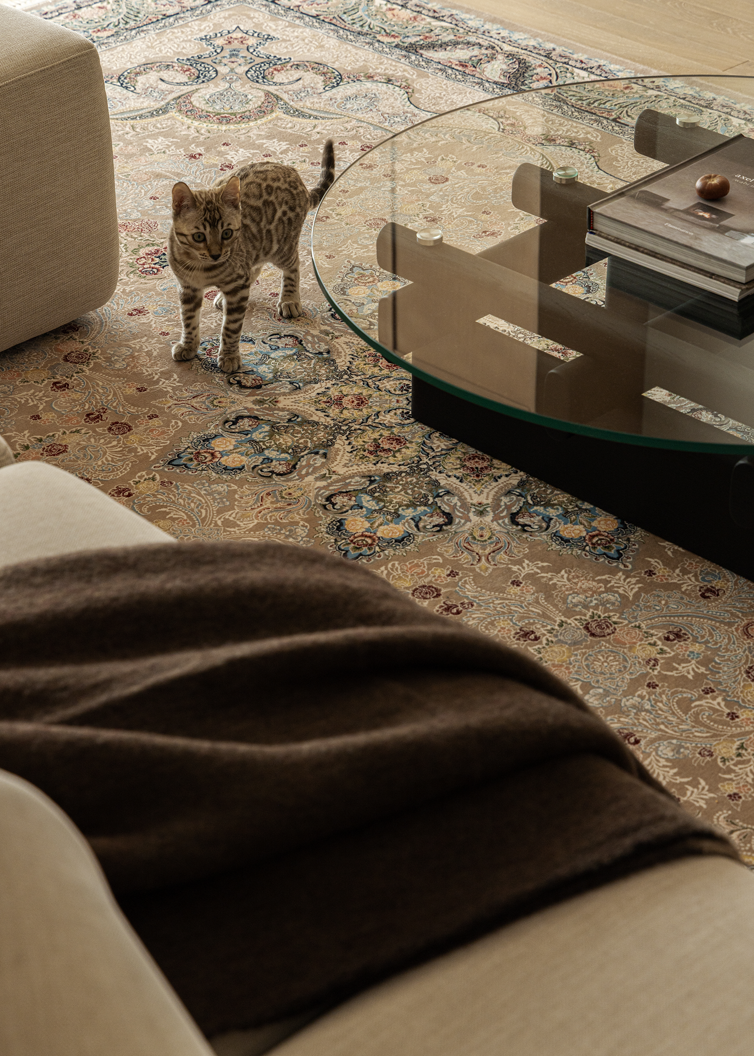 向阳而生 路子曰设计事务所项目丨路子曰设计事务所【LUZ STUDIO】-80