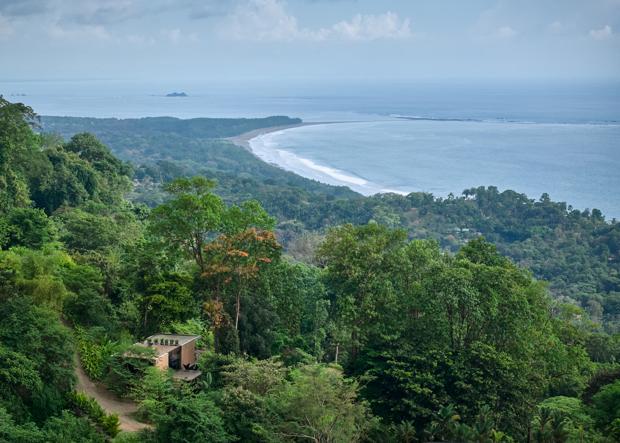 丨哥斯达黎加丨Formafatal-46