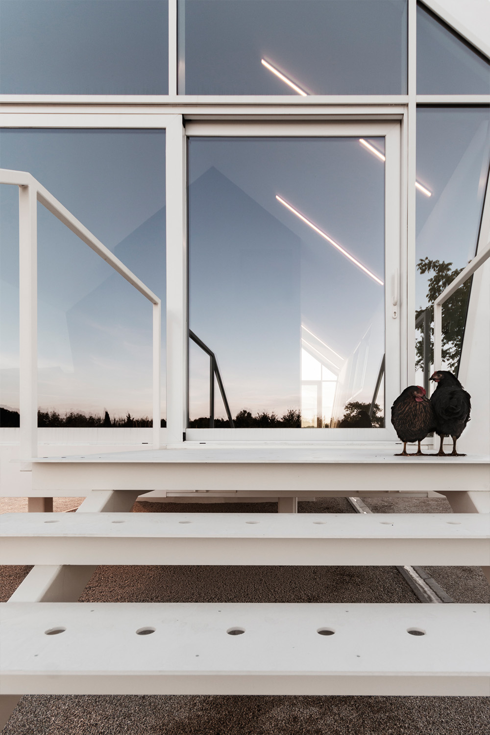 果园中的家园-28