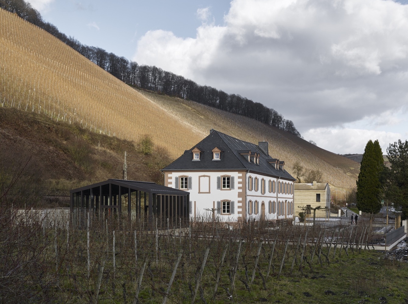 德国古堡酒庄的现代重生-49