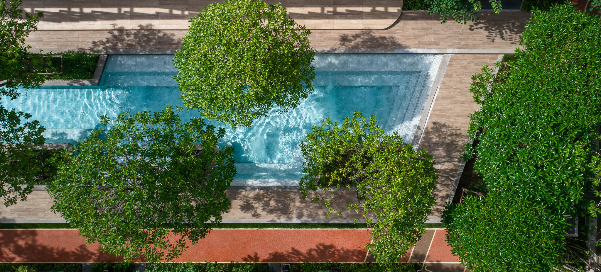 活力大区(Plum Alive)-34