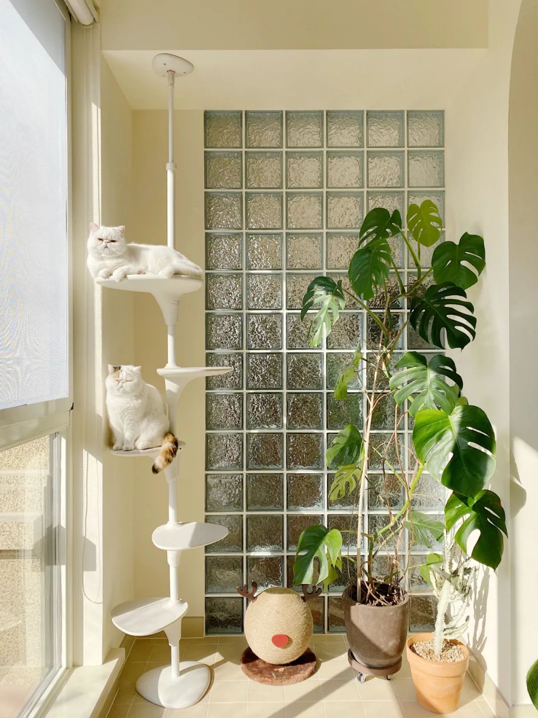 90后女孩回乡打造的梦幻家居丨中国浙江丨屋主路问-41