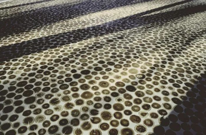 荷兰 Veluwe 国家公园茶馆丨SEARCH-24