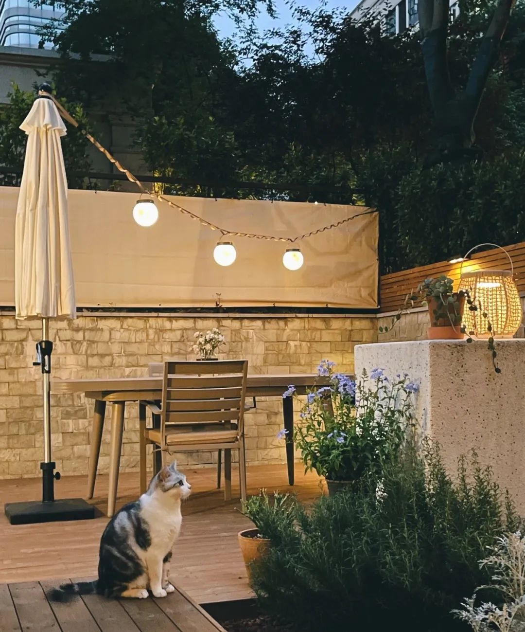 一楼院子大变身,打造浪漫法式梦幻花园丨中国重庆丨上海东町景观设计-19