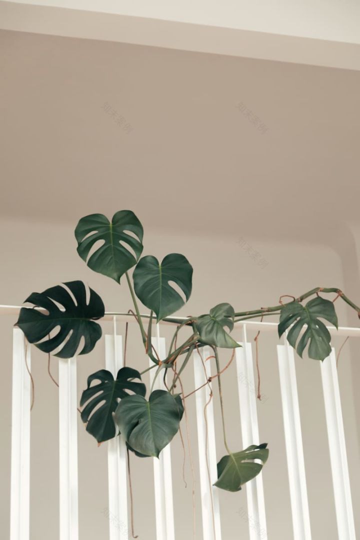 简洁风复式公寓设计 Bernard Dubois-43