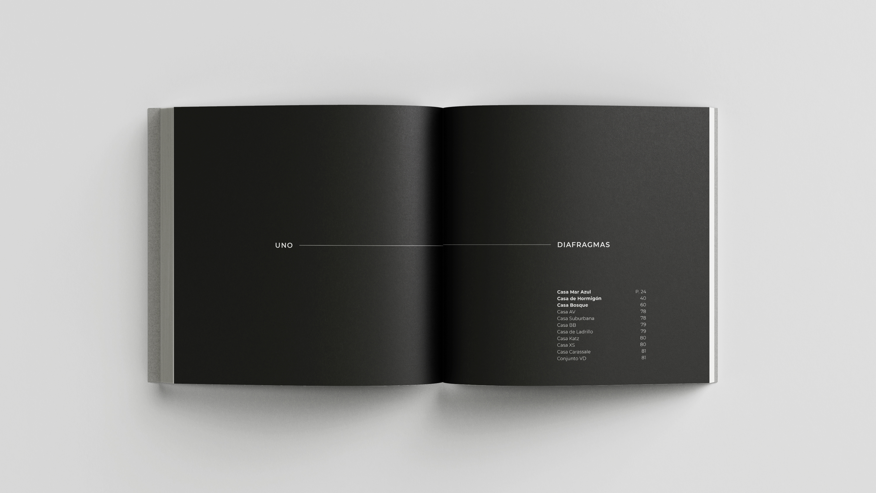 具体自然丨阿根廷-17