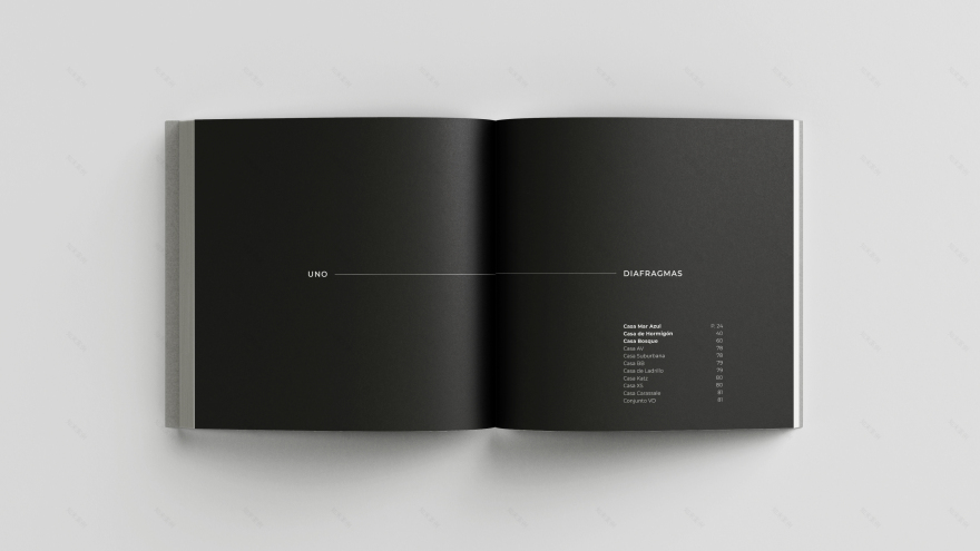 具体自然丨阿根廷-17