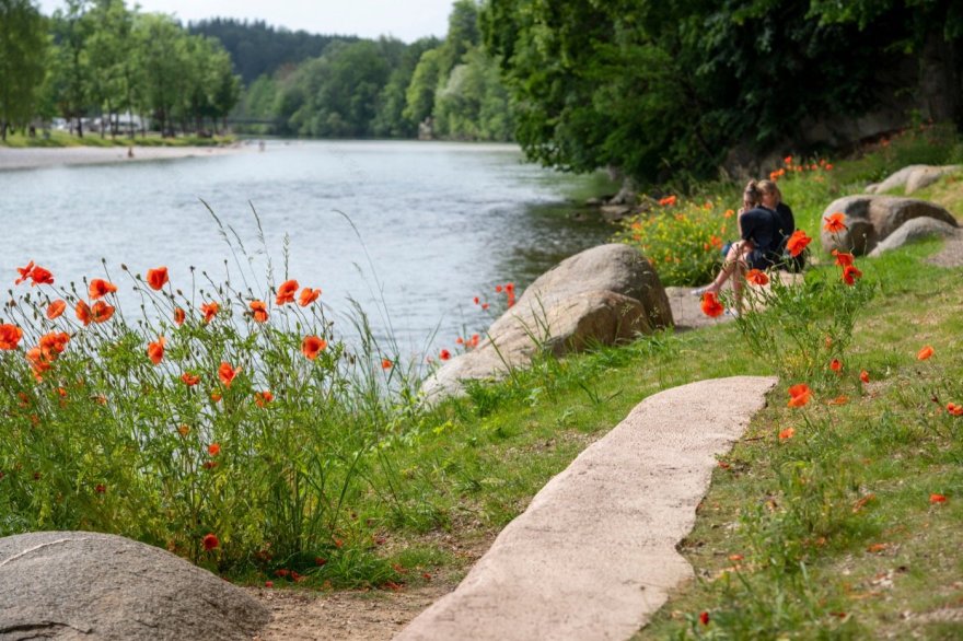 智利“陶本洛赫”公园-17