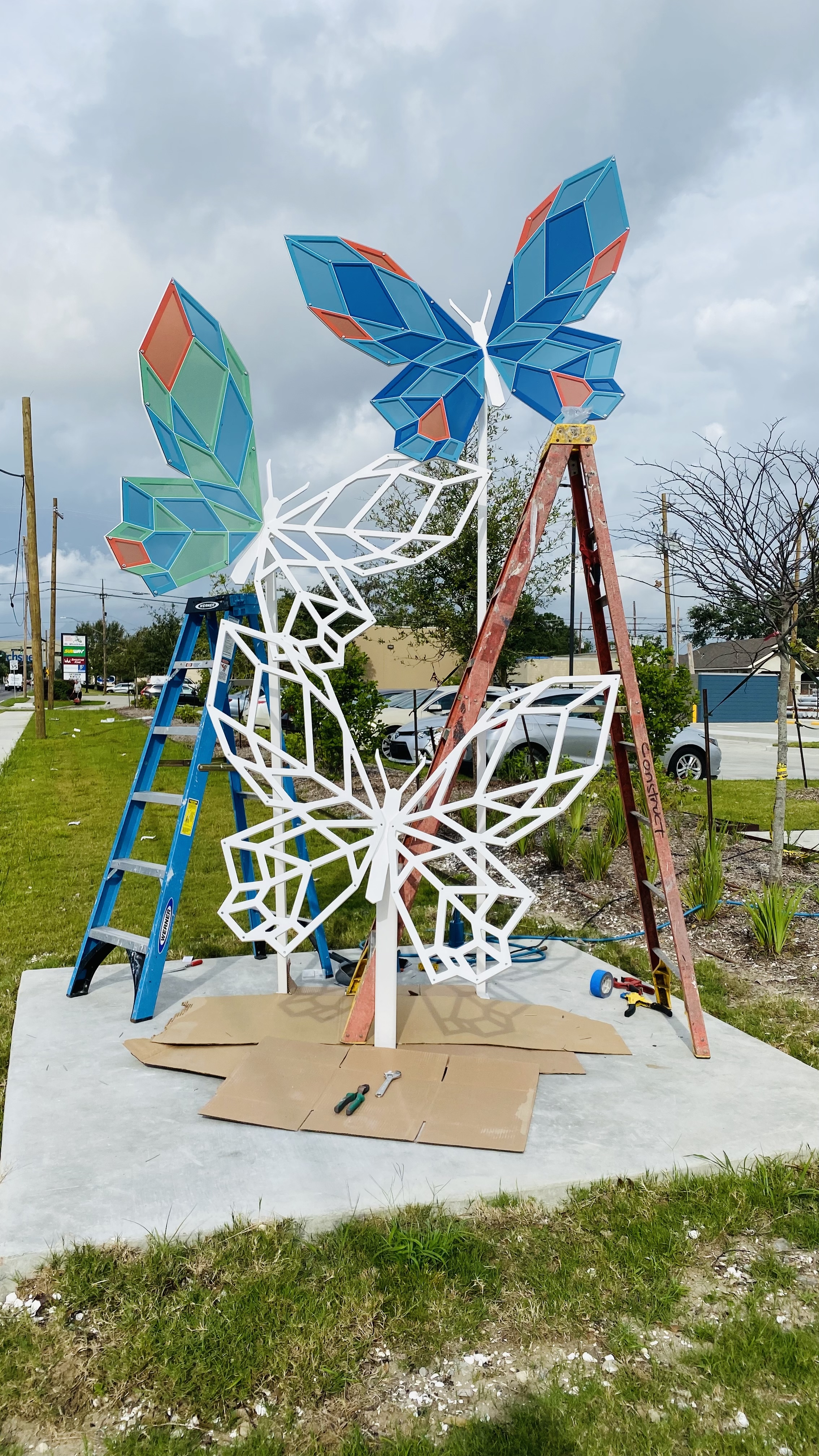 Butterflies - Ochsner Medical 2021-3