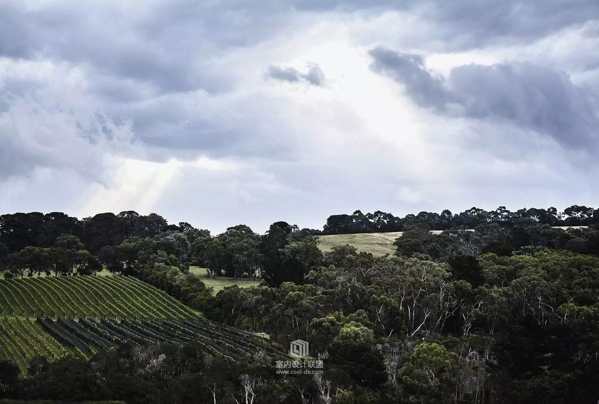 Jackalope  Hotel葡萄庄园新开的避世精品酒店-8