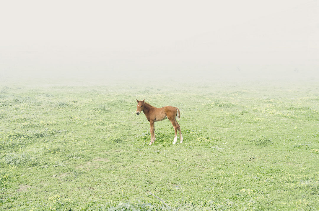 摄影作品：城市近郊的风景，希腊 / Petros Koublis-12