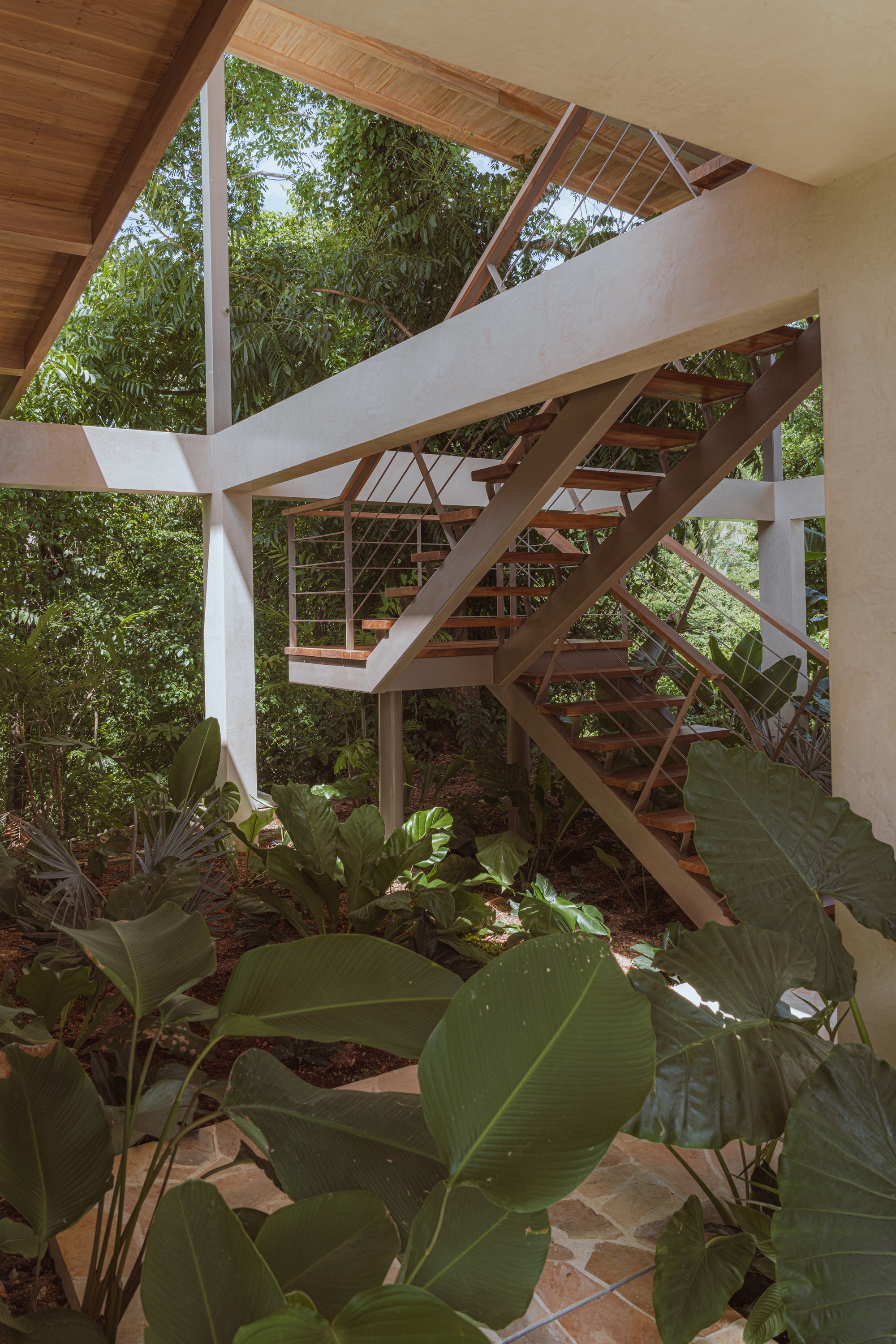 丨哥斯达黎加丨Estudio D3B-27