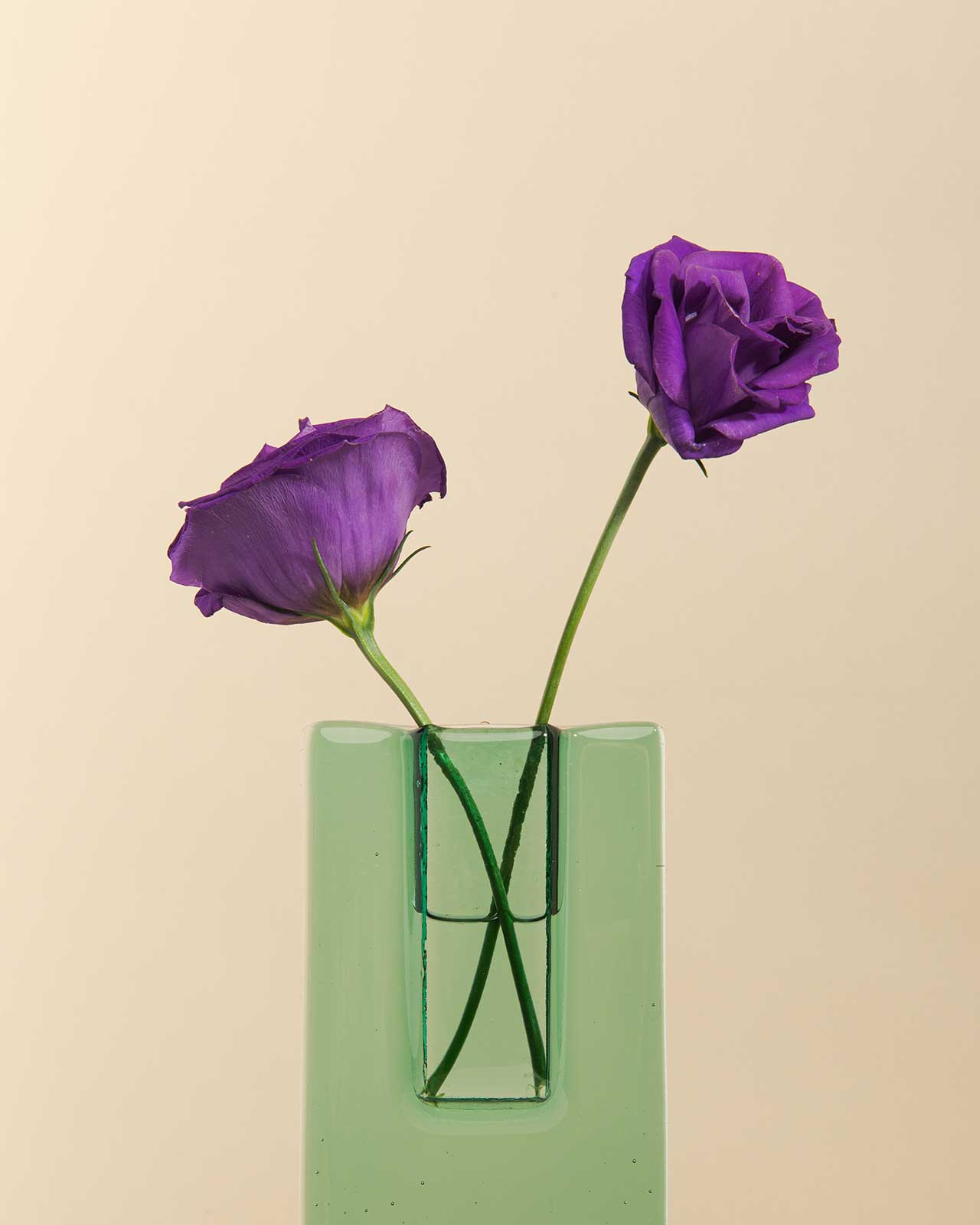 "Glassmateria Slimline Vase |  现代几何设计的魅力"-13