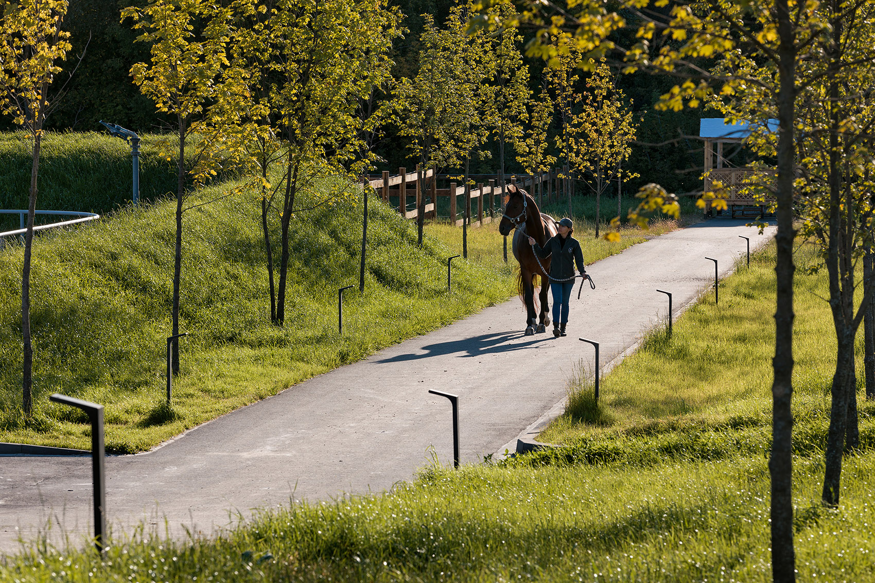 VG马术俱乐部,乌克兰 / Drozdov&Partners-11