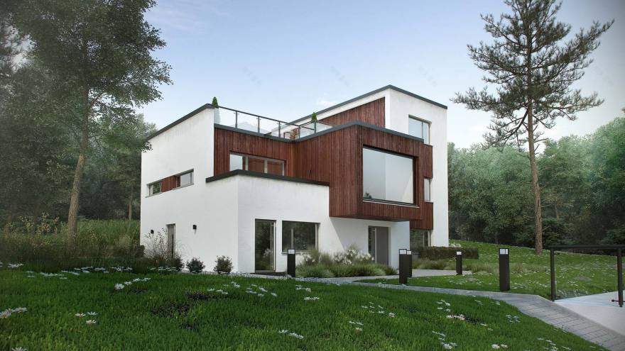 挪威森林中的现代住宅-13