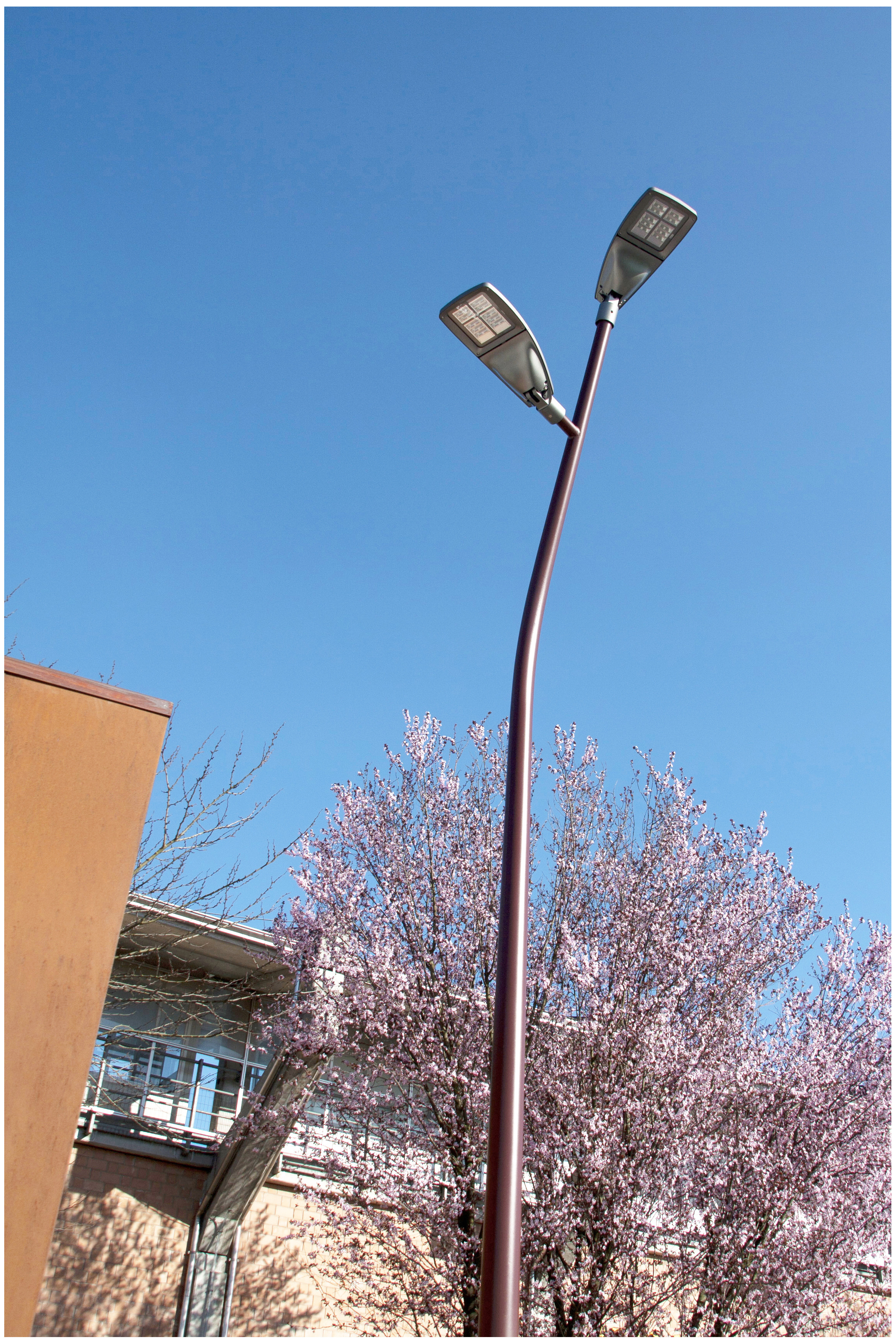 StadioRugbyL.Zaffanella-23