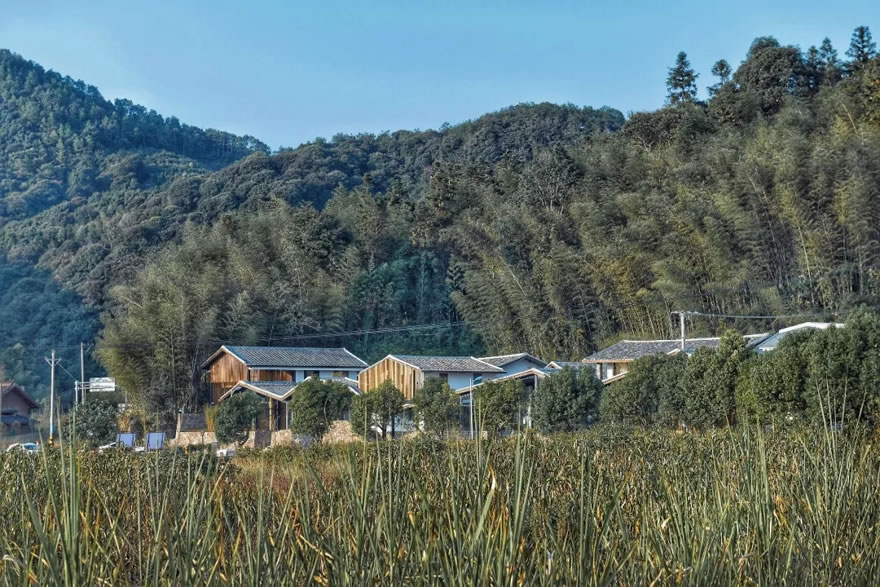 福州前洋农夫集市-0