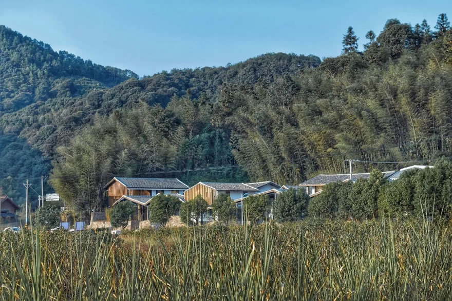 福州前洋农夫集市-0