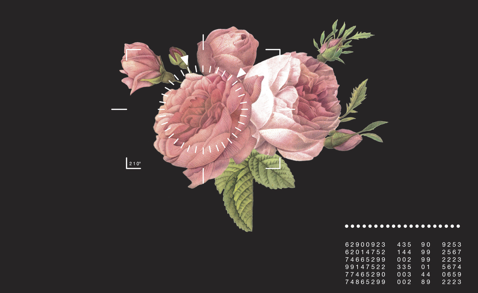 恐惧与爱 | 复杂世界的情感反应-4