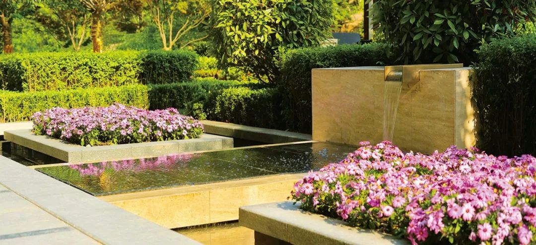 用植物营造空间氛围丨艺汉卿-13