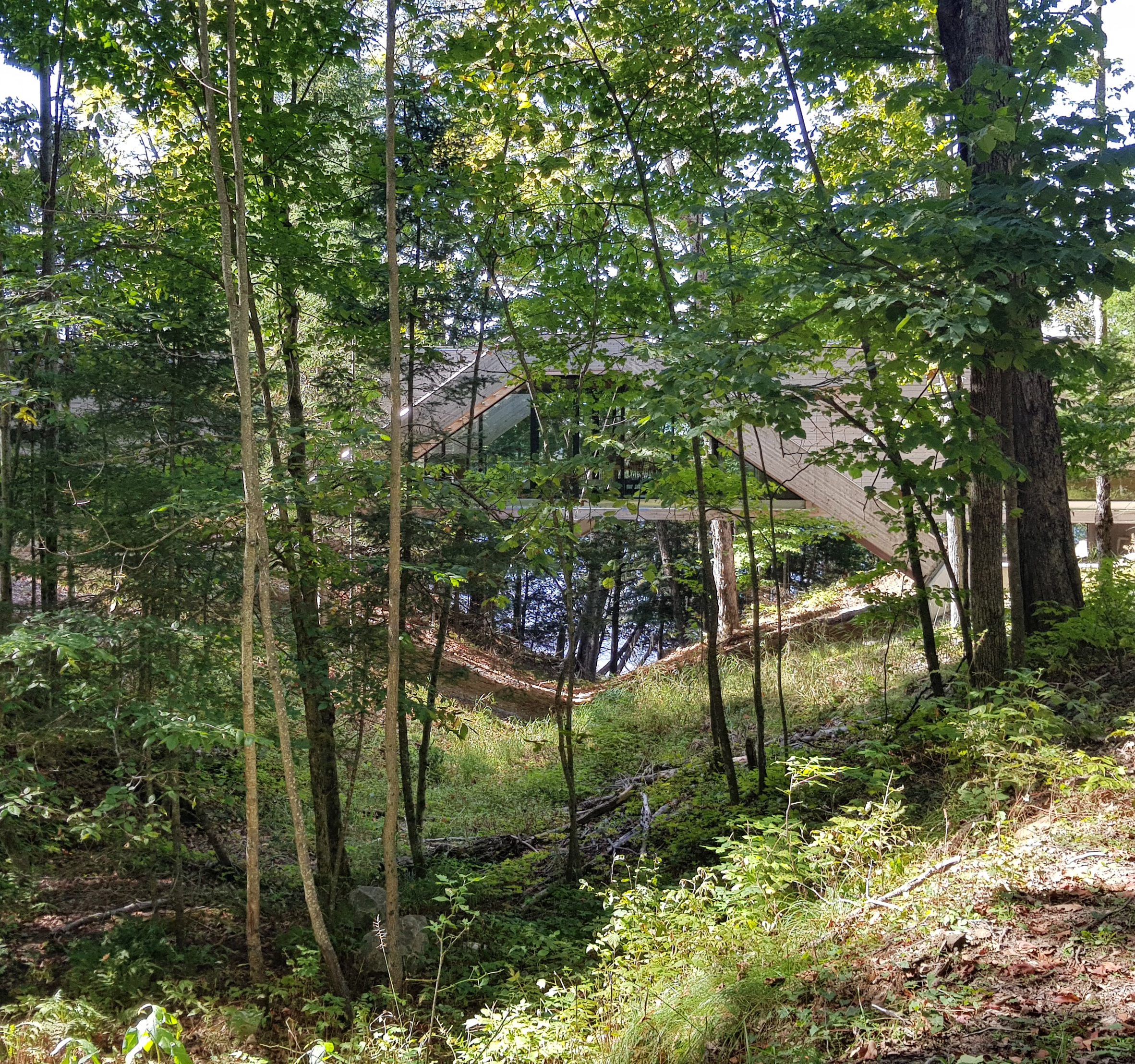 Bridgehouse by Llama Urban Design spans over Canadian forest floor-19