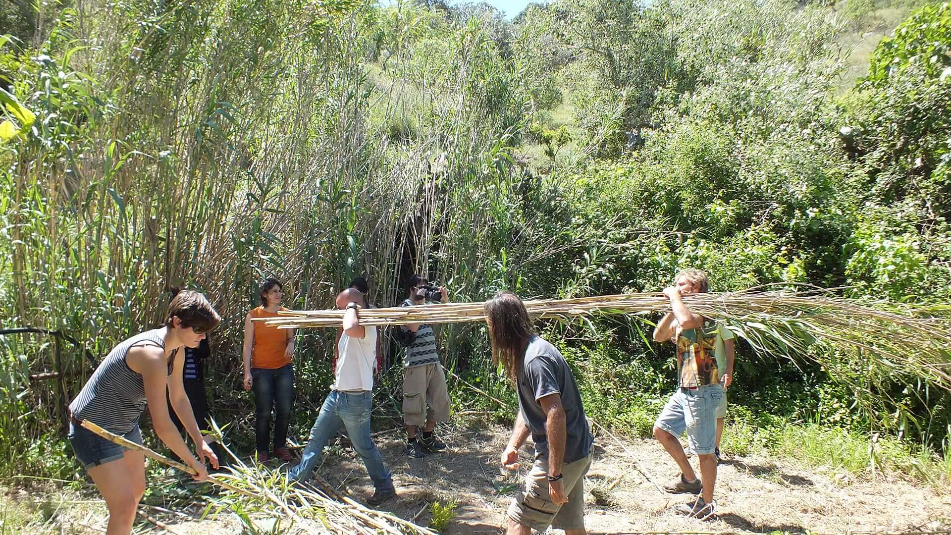 丨西班牙马拉加丨Pezestudio.org-7