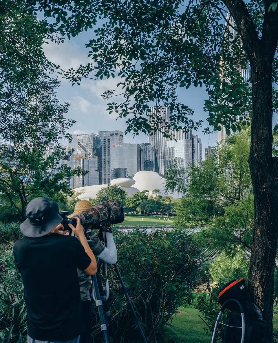 深圳湾文化广场丨中国深圳丨MAD建筑事务所,华东建筑设计研究总院等-40