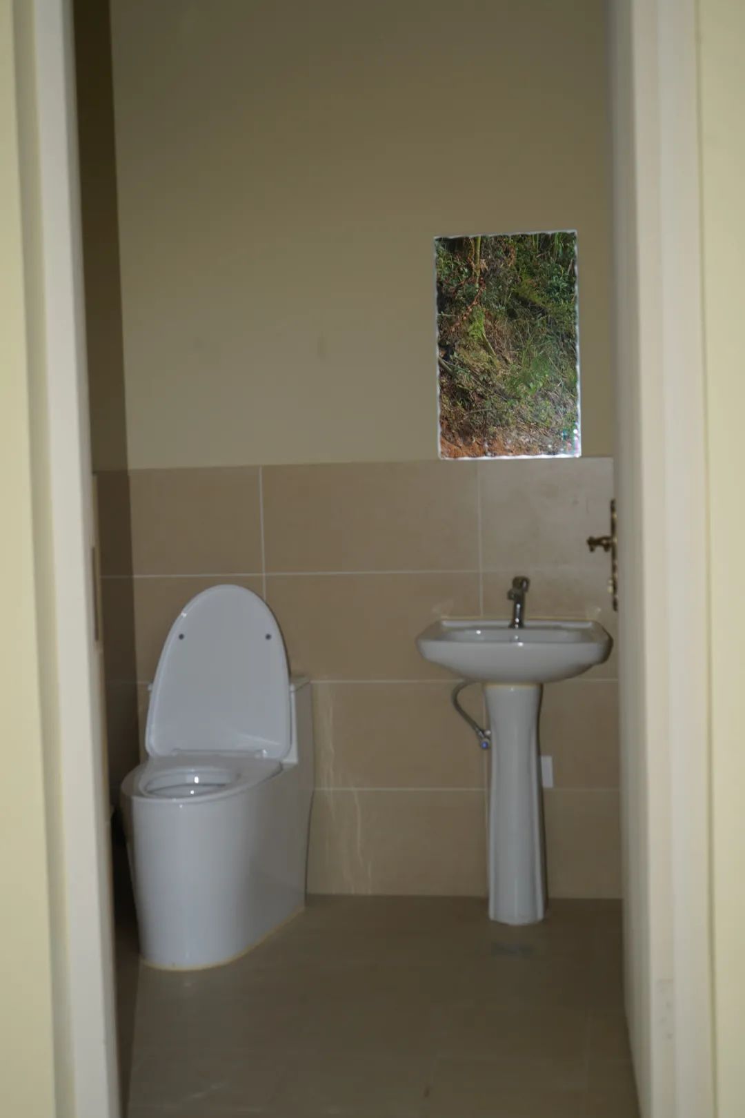 Yang Zhao  VISUAL ARTS-11