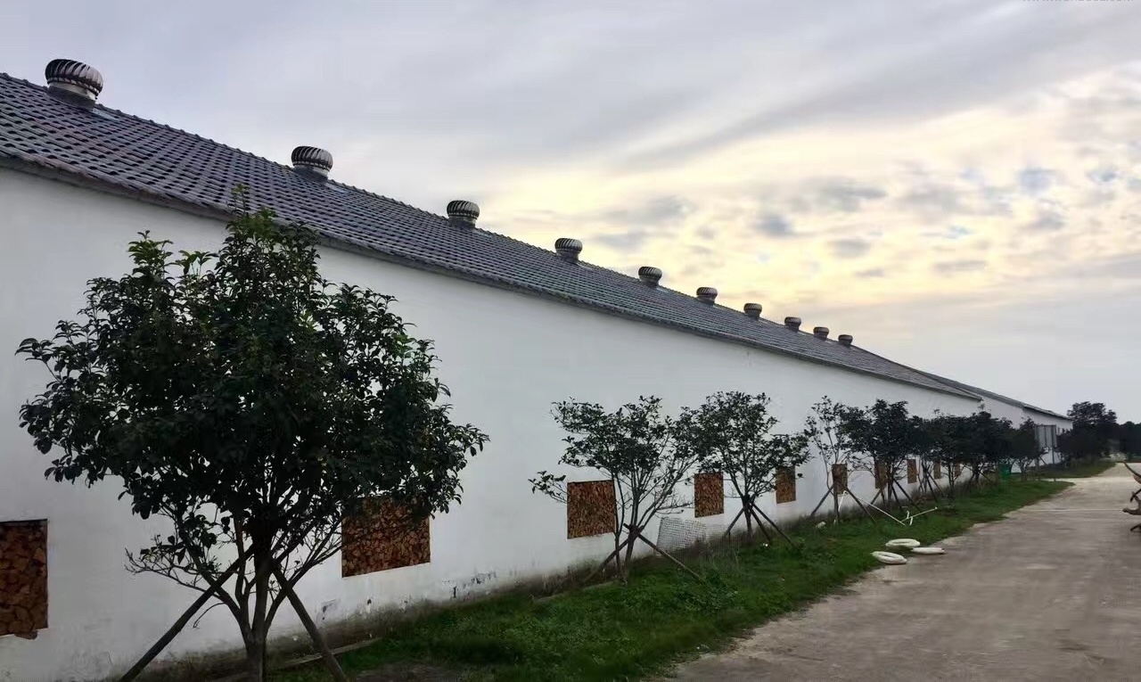 台州小羽农场——自然野趣，花样风情-15