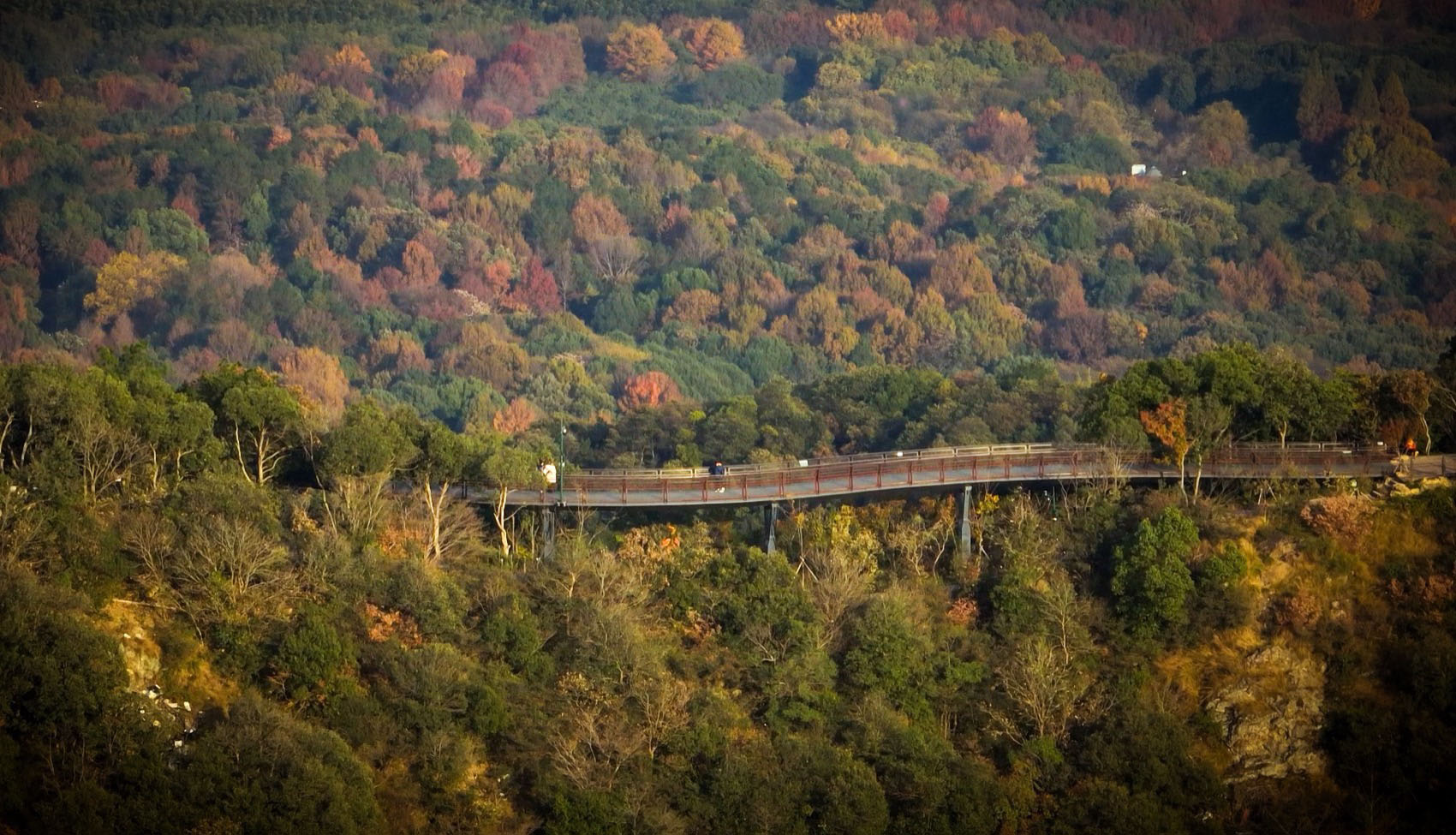 双西绿道项目丨中国杭州丨中国电建集团华东勘测设计研究院有限公司-18