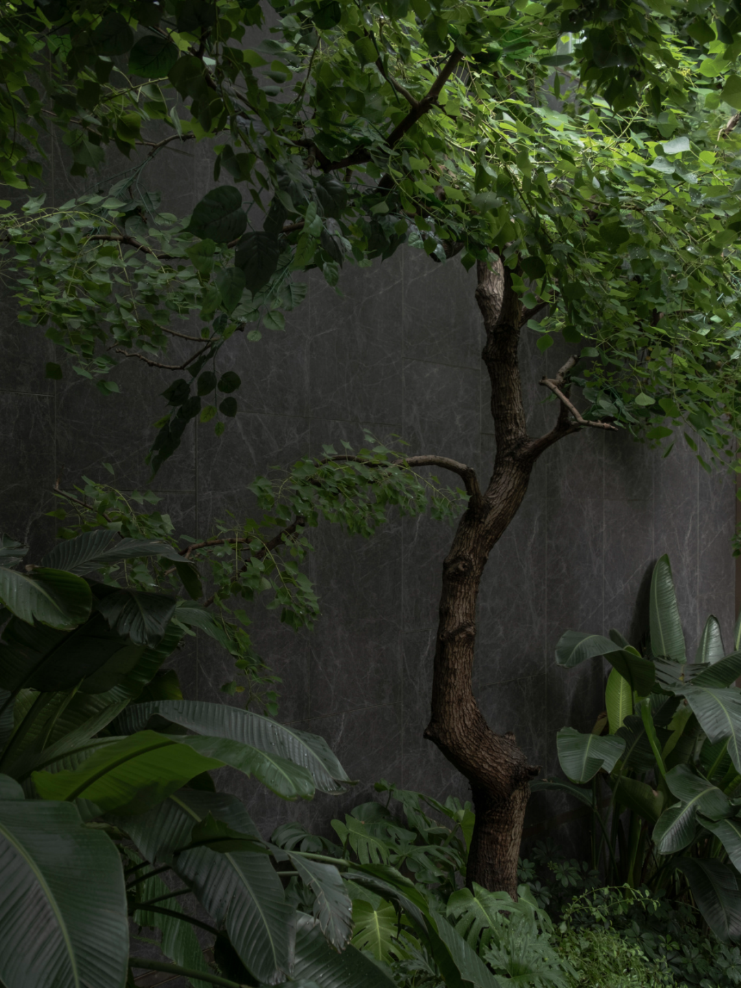 赣州 · 中海 · 悦江府丨中国赣州-39