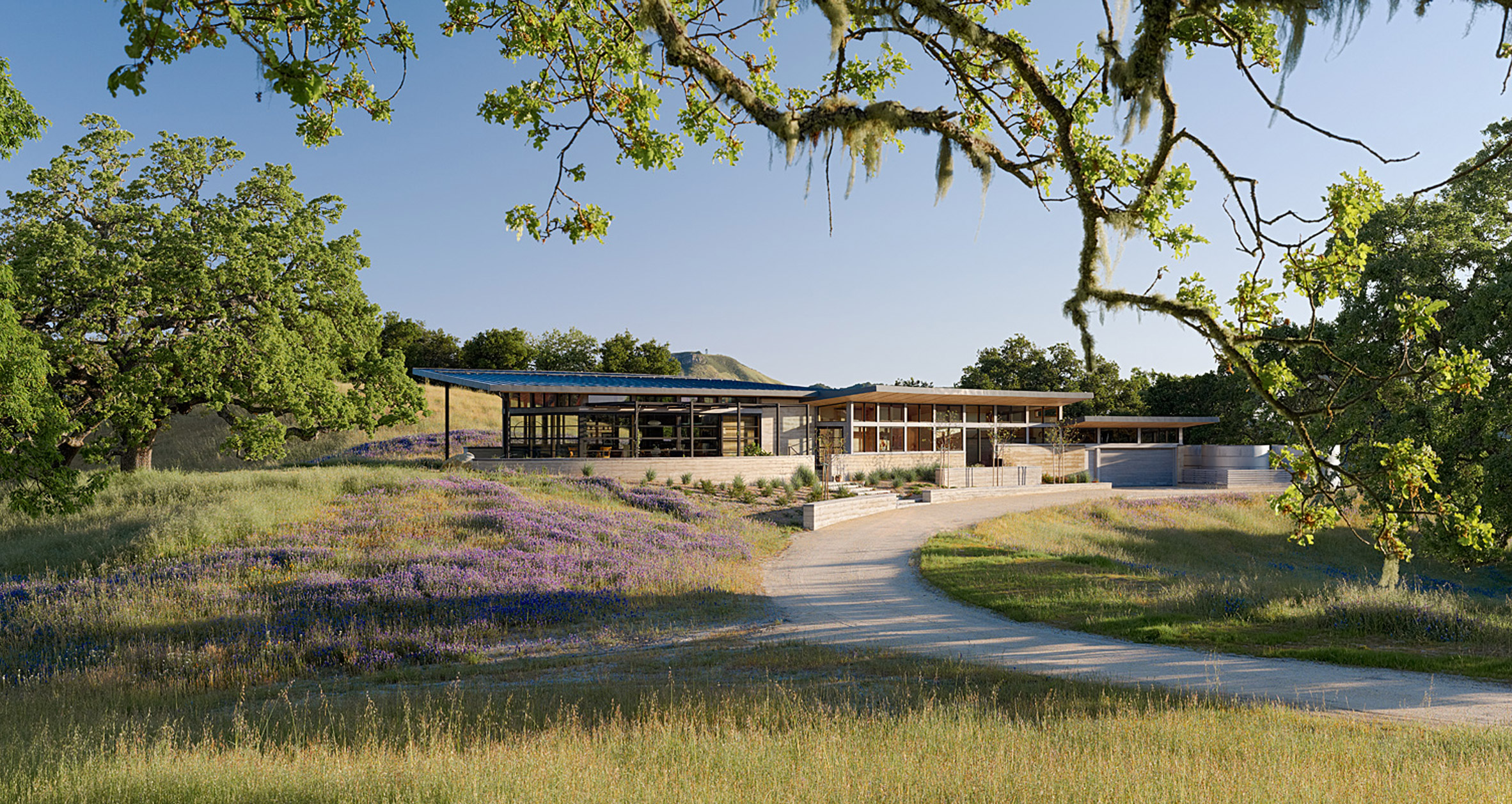 Caterpillar House by Feldman Architecture winds across California terrain-2