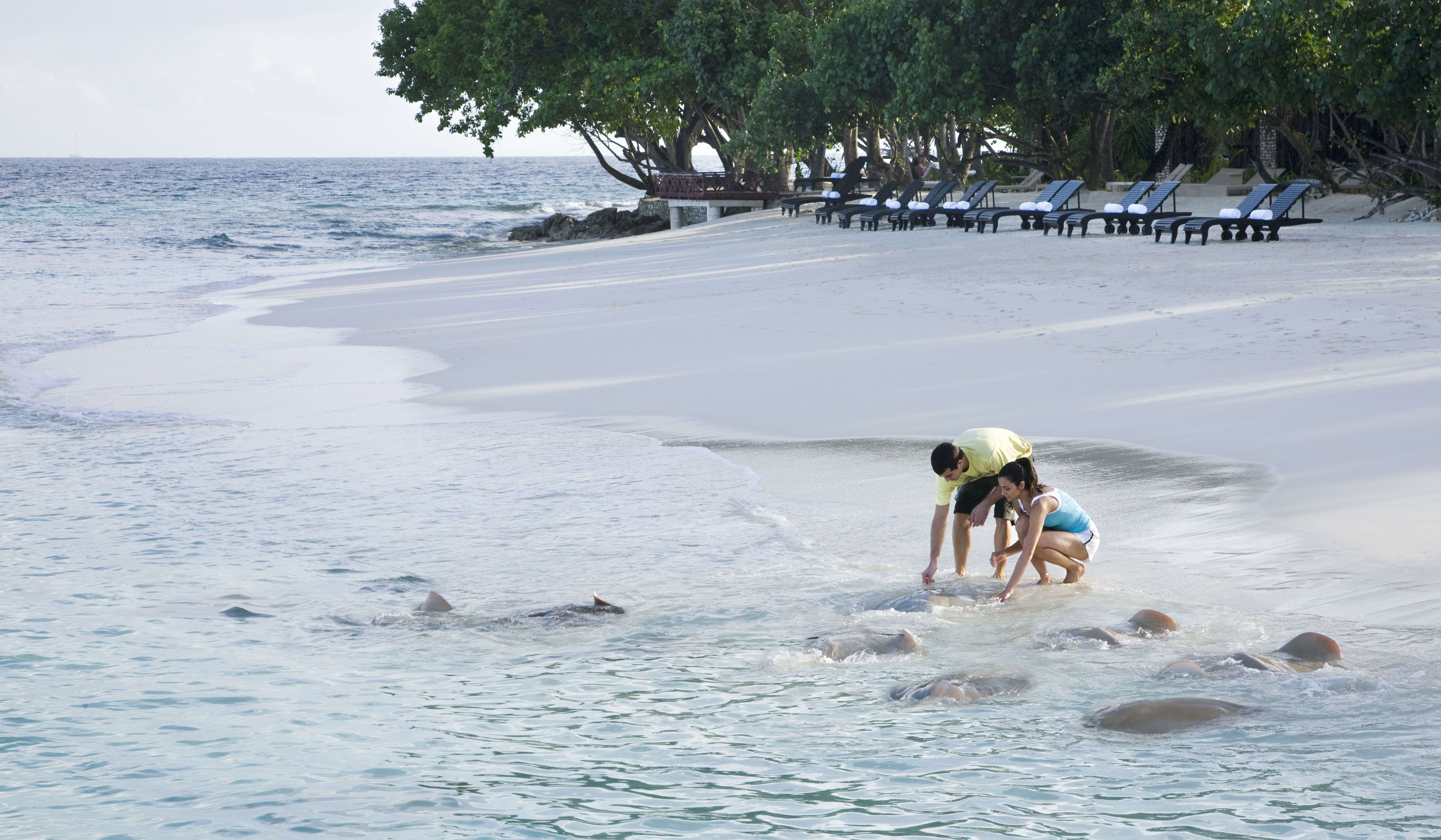 Vivanta by Taj   Coral Reef  Maldives-14