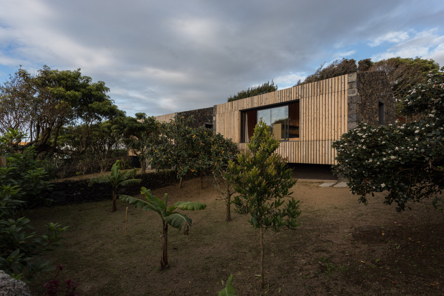 House dos Peixes Falantes / M-Arquitectos -45