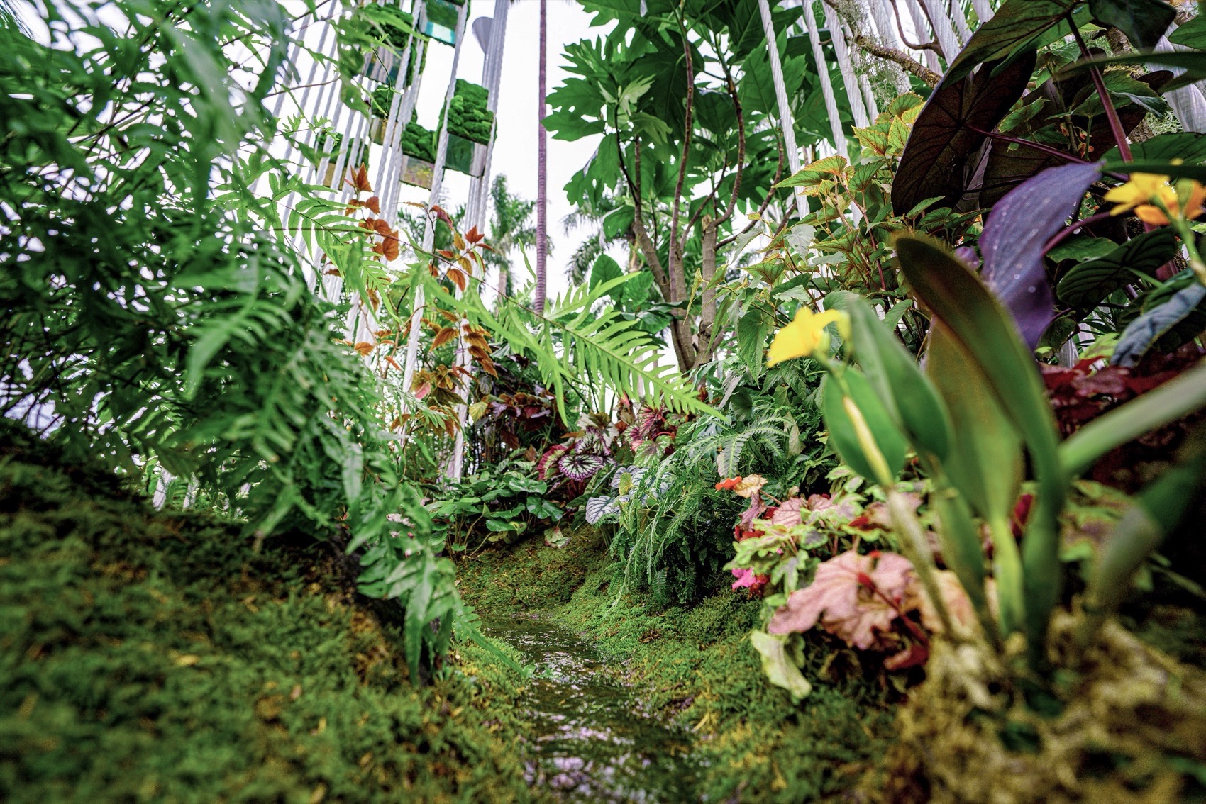 第30届广州园博会深圳展园丨中国广州丨意向工作室-39