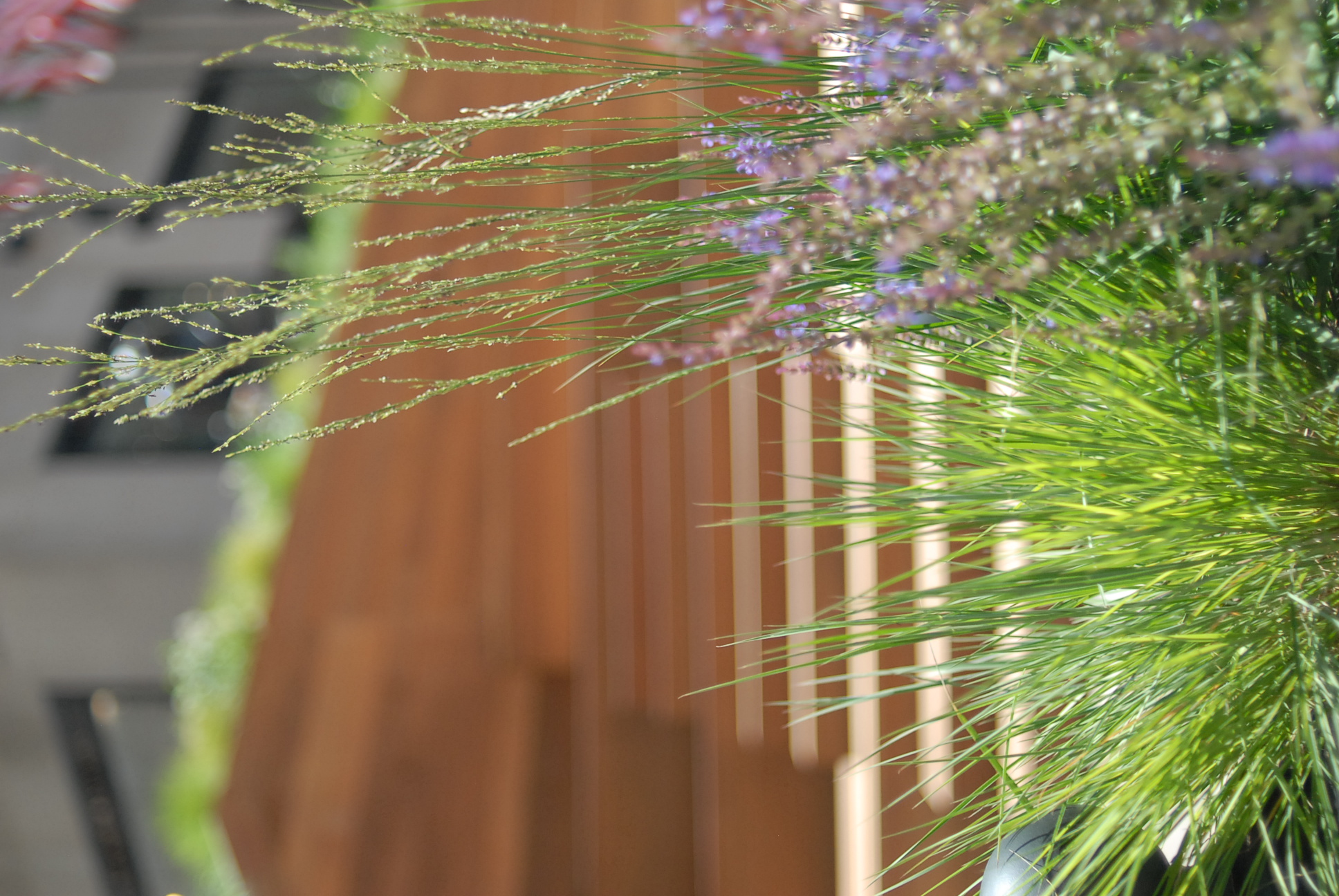 Rockefeller Center Summer Gardens | Julia Watson LLC-15